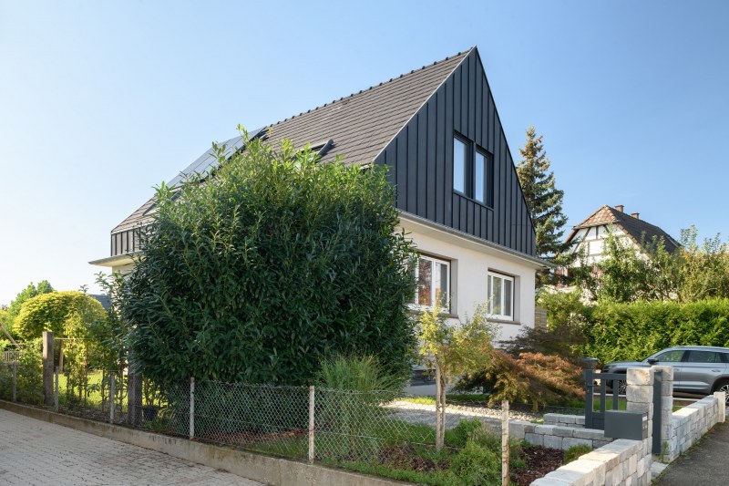 Ek_Tulipes_1142_opt